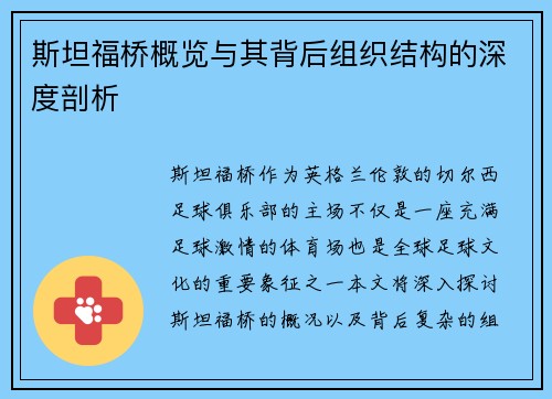 斯坦福桥概览与其背后组织结构的深度剖析